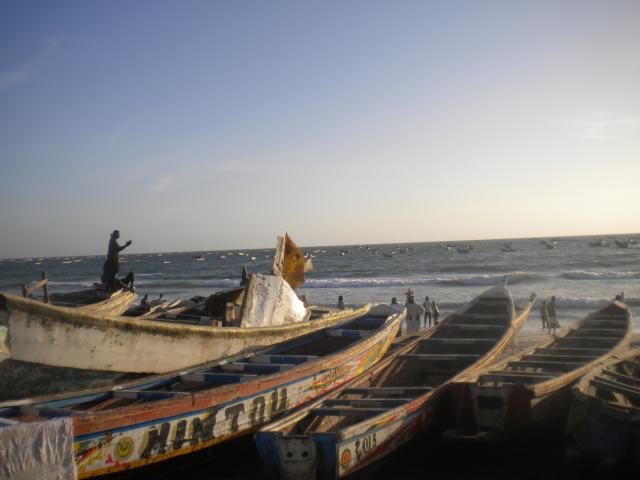DSCN7714