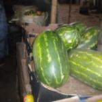 DSCN7723