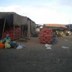 DSCN7735
