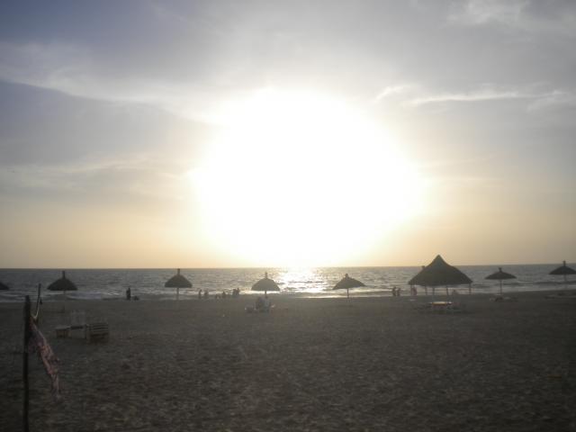 DSCN7784