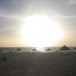 DSCN7784
