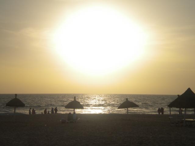 DSCN7785