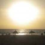 DSCN7785