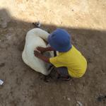 Tidiane et les animaux (03 et 04-08-2015)