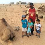 Les chameaux ("mameaux" de T&Dd, 09-08-2015)