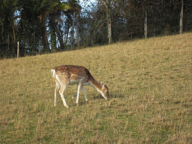 img_6478.jpg
