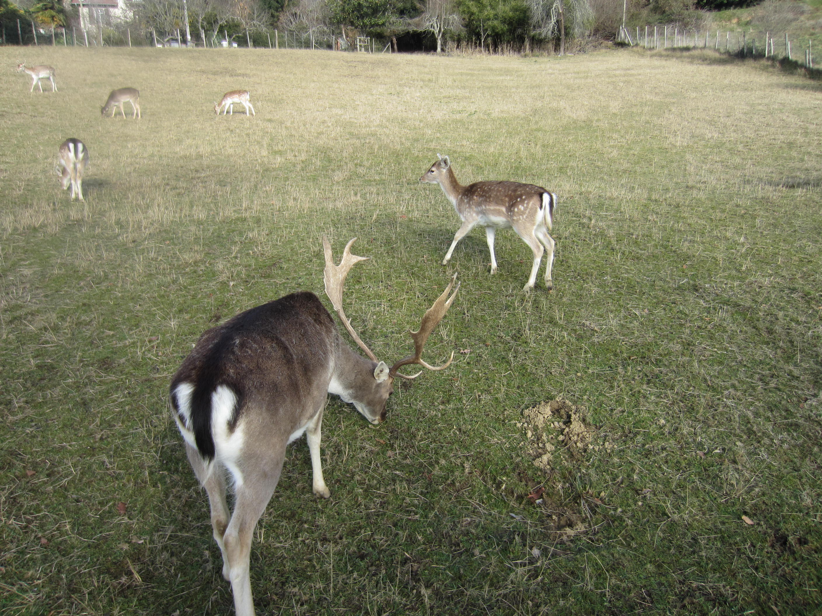 img_6483.jpg