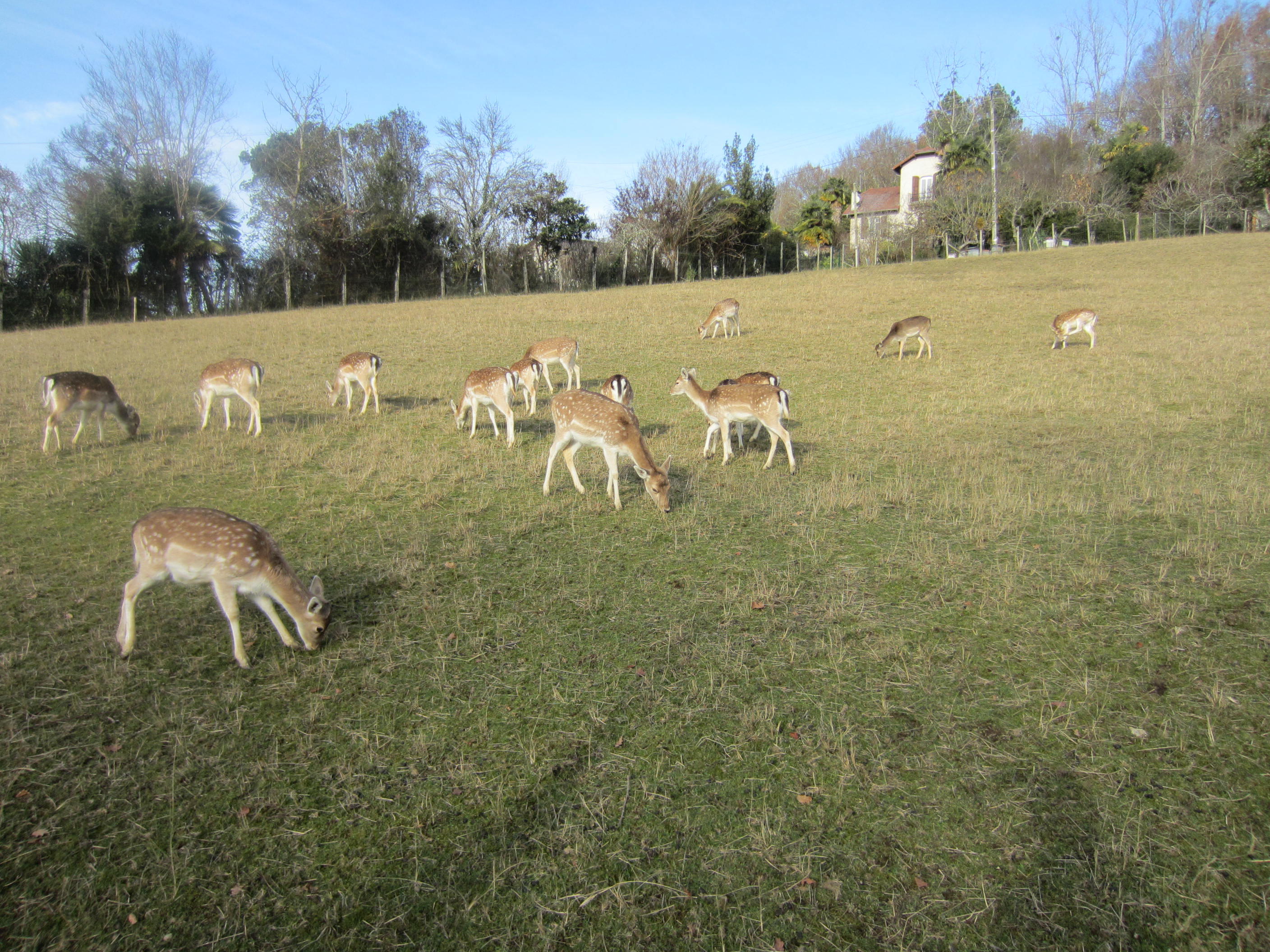 img_6484.jpg