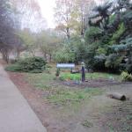 img_6259.jpg