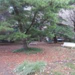 img_6269.jpg