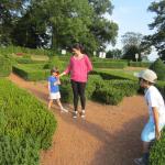 img_7539.jpg