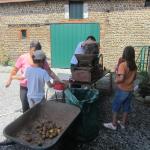 img_7575.jpg