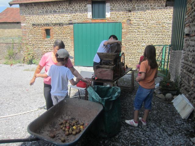 img_7575.jpg