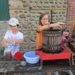 img_7582.jpg