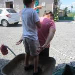 img_7586.jpg
