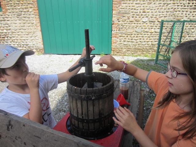img_7590.jpg