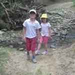 img_7622.jpg