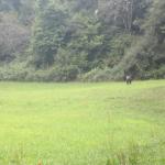 img_7623.jpg