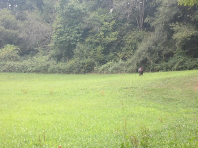 img_7623.jpg