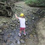 img_7624.jpg