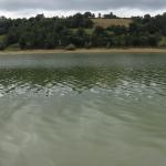 pano1.jpg
