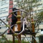 Clément sur la structure