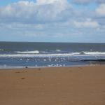 img_6658.jpg
