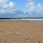 img_6659.jpg