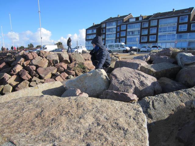 img_6667.jpg