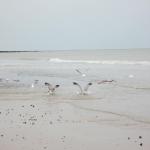 img_6710.jpg