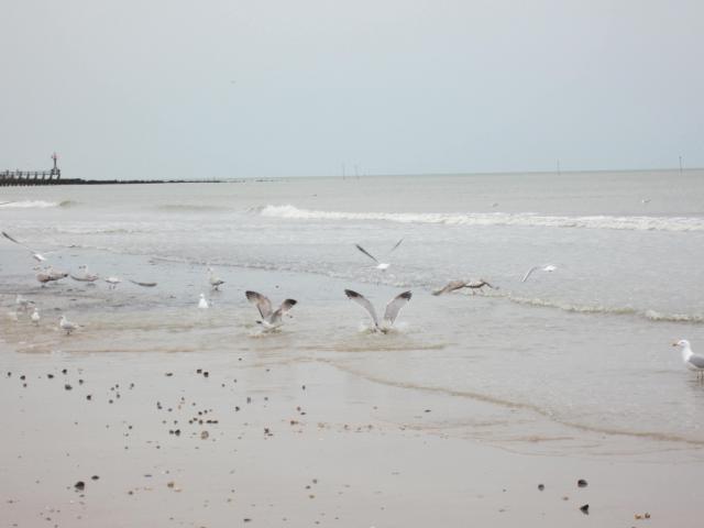 img_6710.jpg