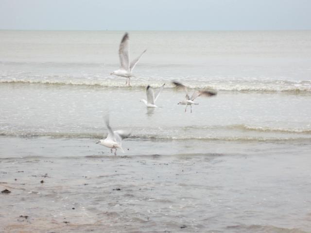 img_6711.jpg