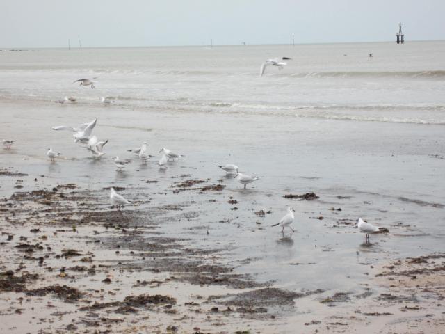 img_6713.jpg
