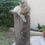 img_7276.jpg