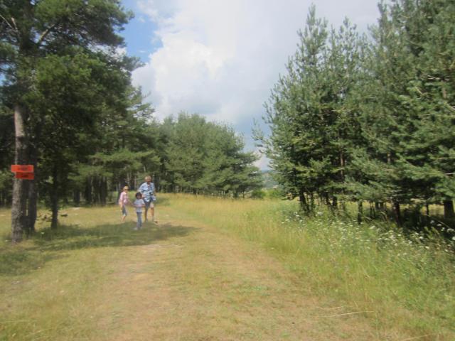 img_7322.jpg