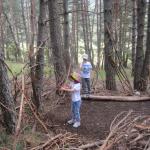img_7331.jpg