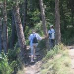 img_7366.jpg