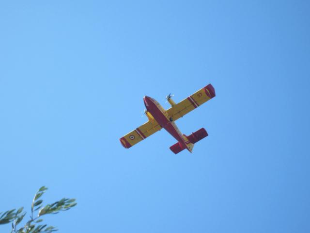 img_7420.jpg