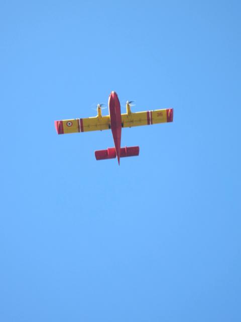 img_7422.jpg