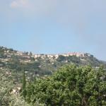 img_7424.jpg