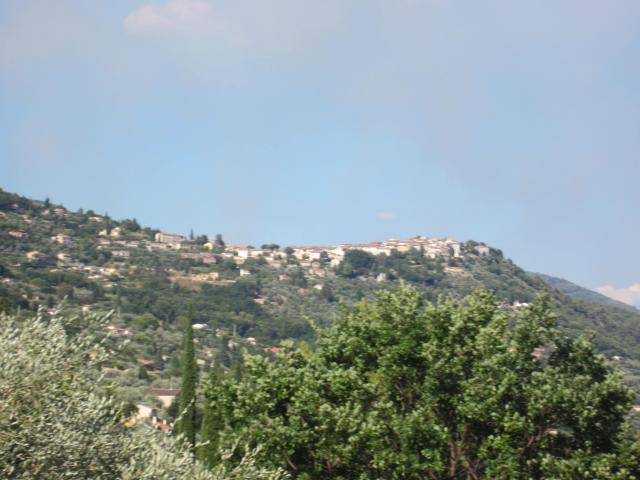 img_7424.jpg