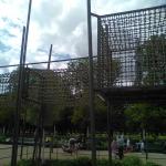img_x0219.jpg