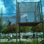 img_x0239.jpg