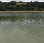 pano-1.jpg