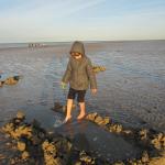 img_7766.jpg