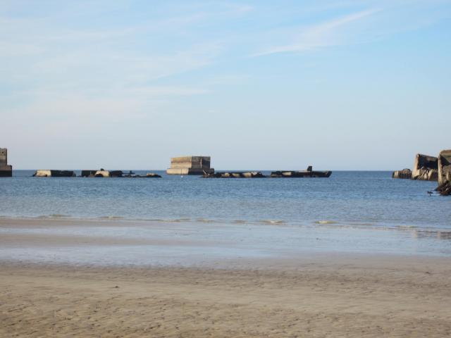 img_7805.jpg