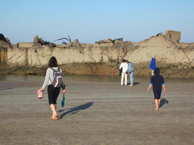 img_7806.jpg