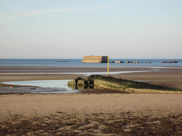 img_7834.jpg