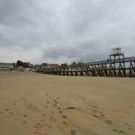 img_7842.jpg