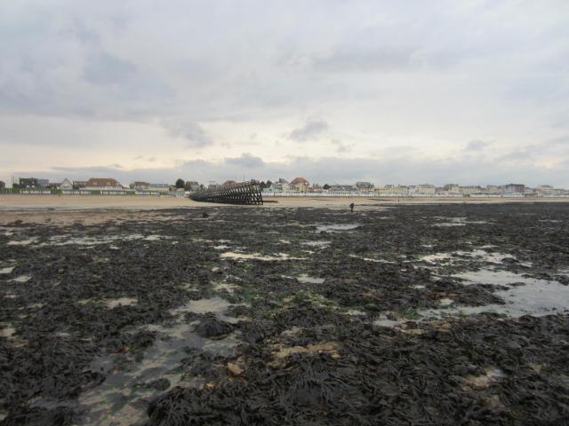 img_7848.jpg